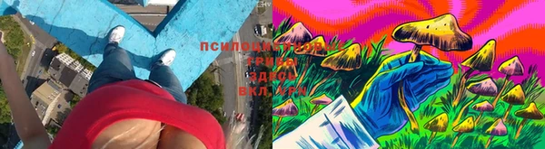 круглые Белокуриха