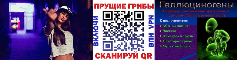 где купить   Строитель  Псилоцибиновые грибы Magic Shrooms 